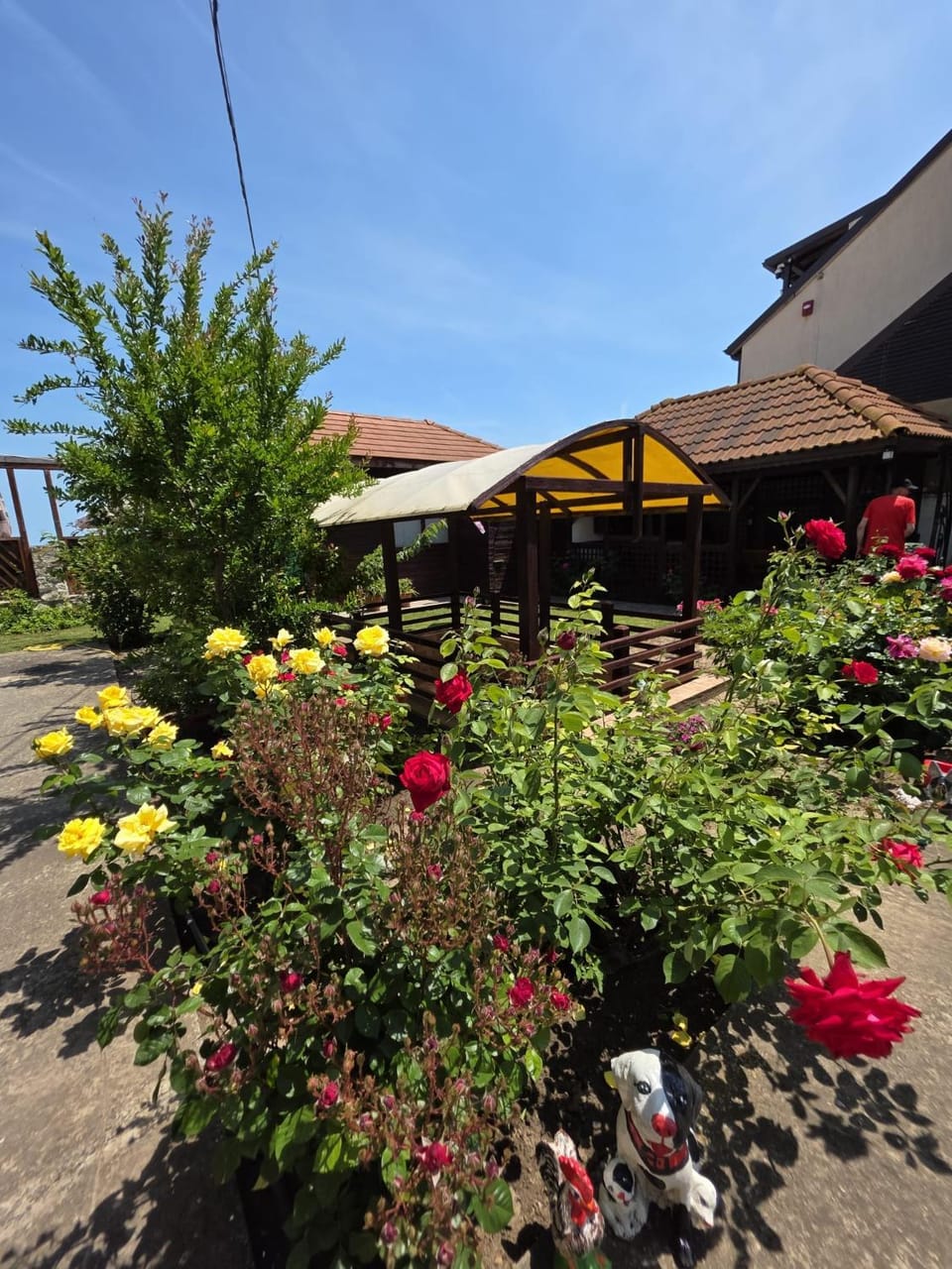 Vila Madi Bed and Breakfast in Dobrich Province, Bulgaria