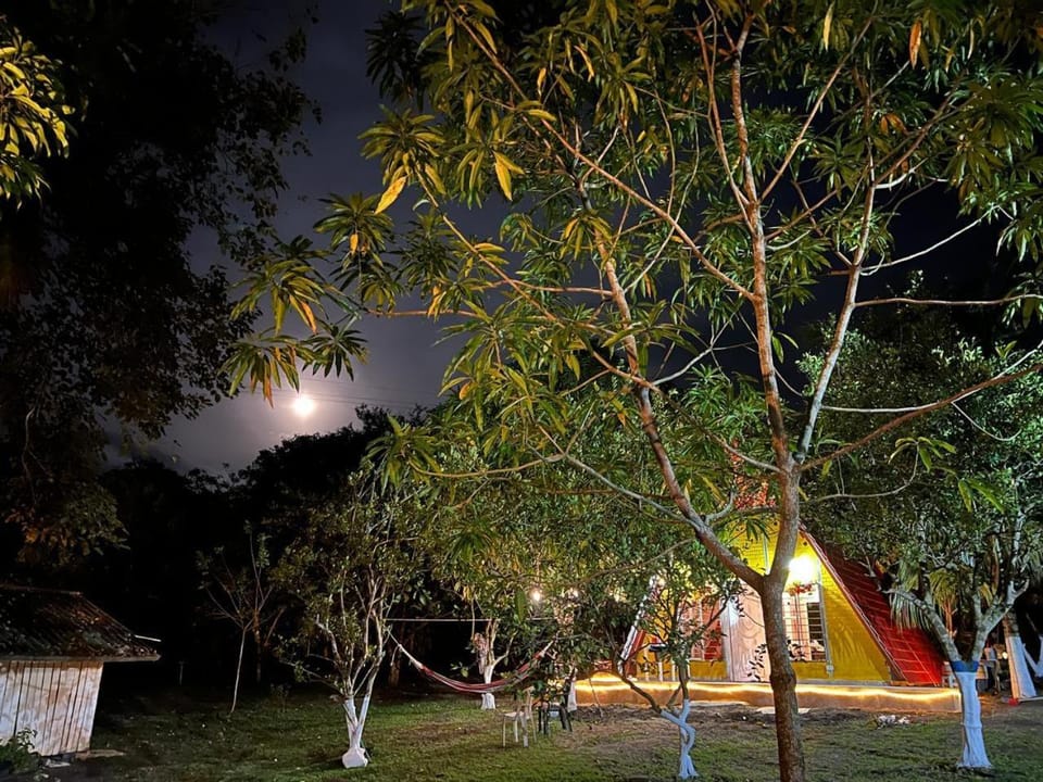 Night, Natural landscape