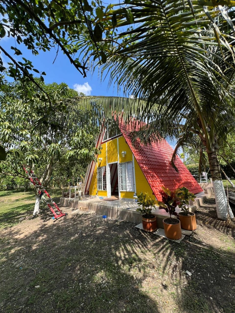 Garden view