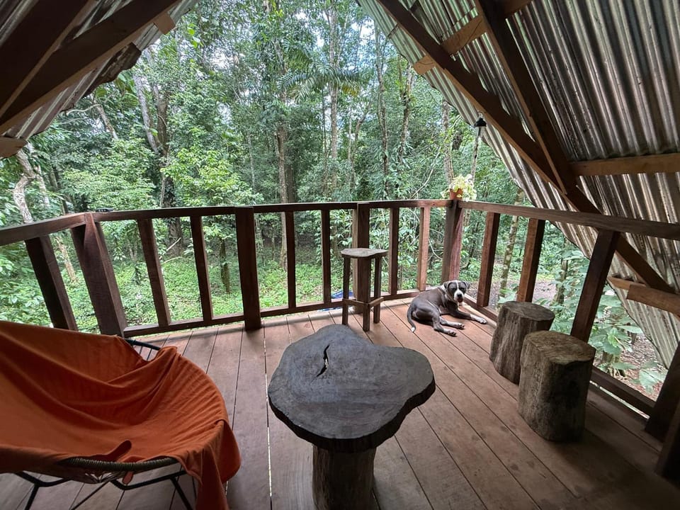 Entire Jungle Chalet Playa Ganadito Chalet in Puntarenas Province