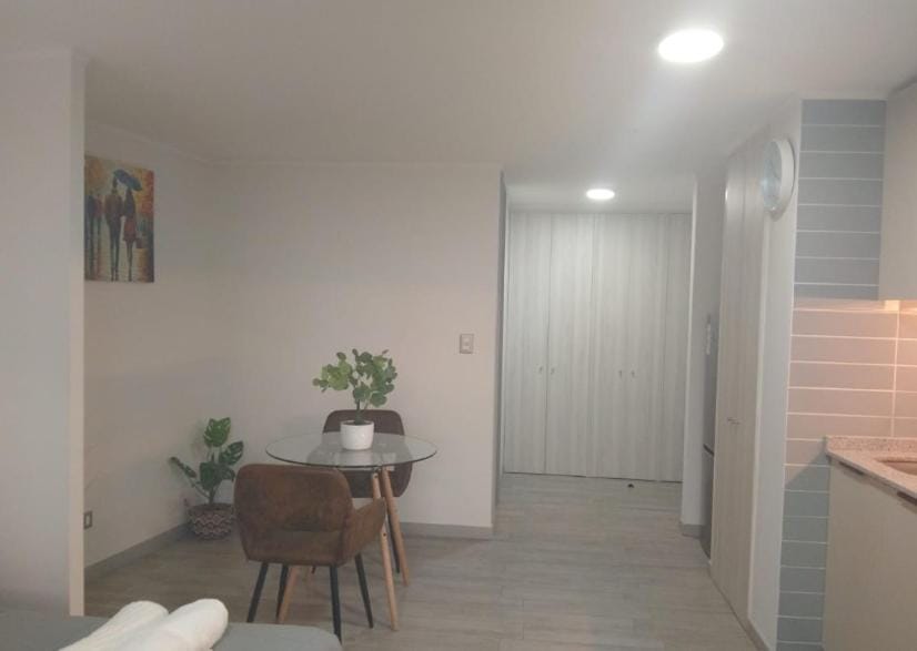 Movistar Arena I Studio I Parque Ohiggins Apartment in Santiago