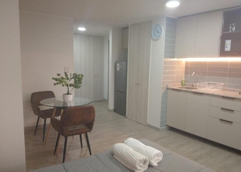 Movistar Arena I Studio I Parque Ohiggins Apartment in Santiago