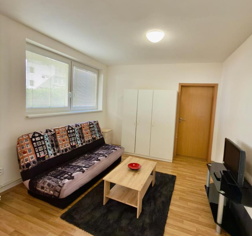 Atrium Apartment Ostrava Apartment in Czechia
