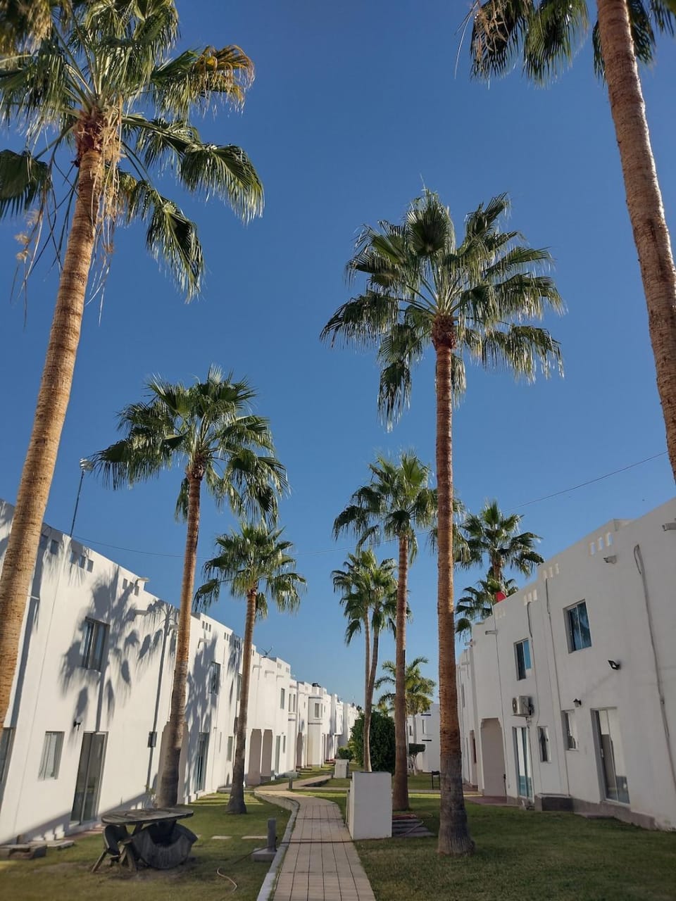 Depa 4 beds LomaBonita #224pb Alberca Palapa Apartment in San Carlos Guaymas