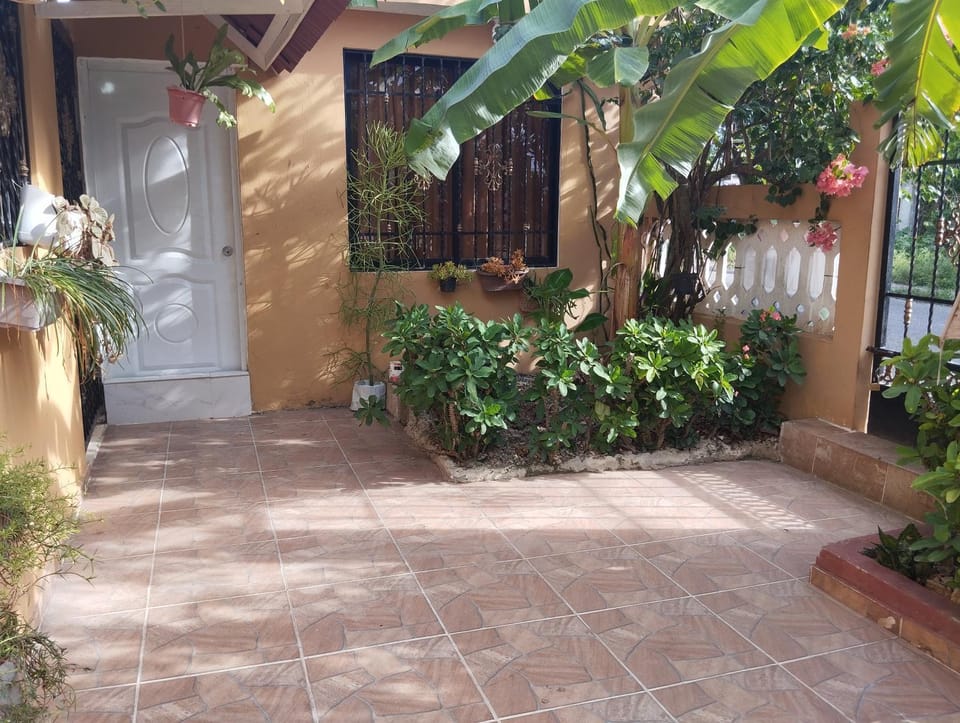 Garden view