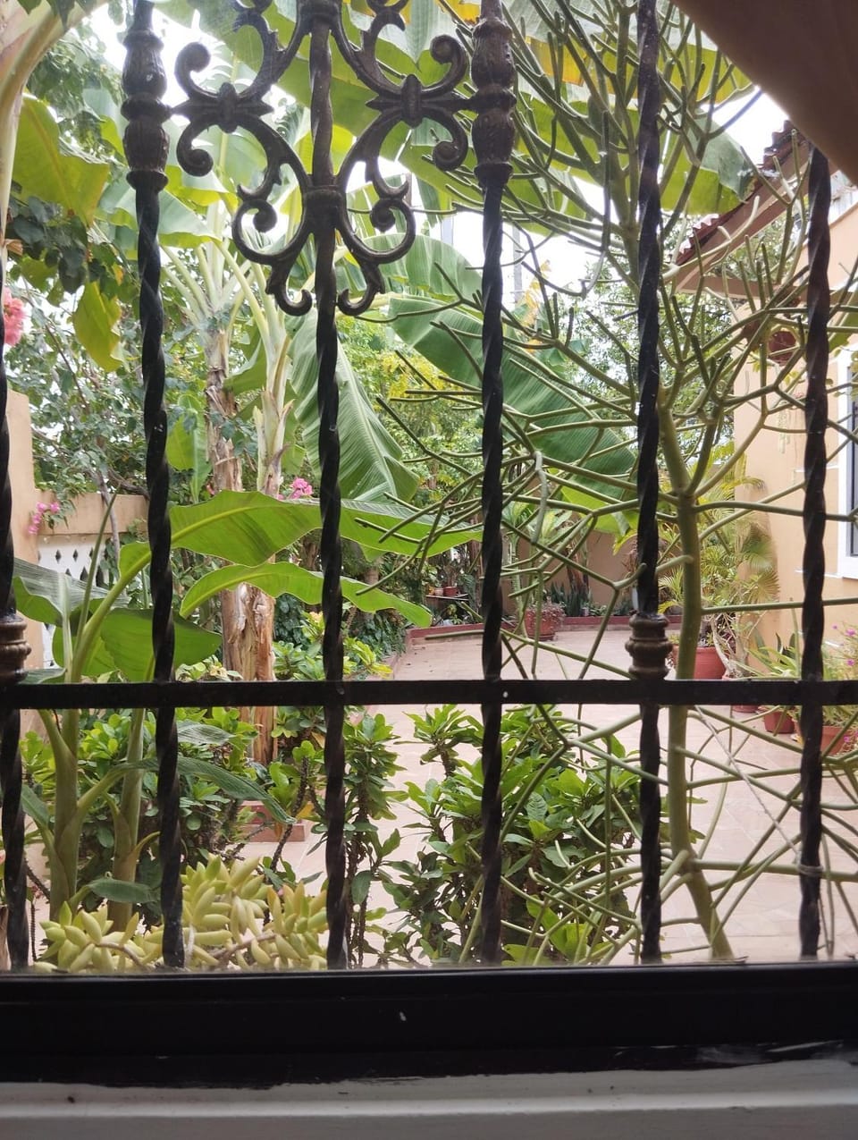 View (from property/room)