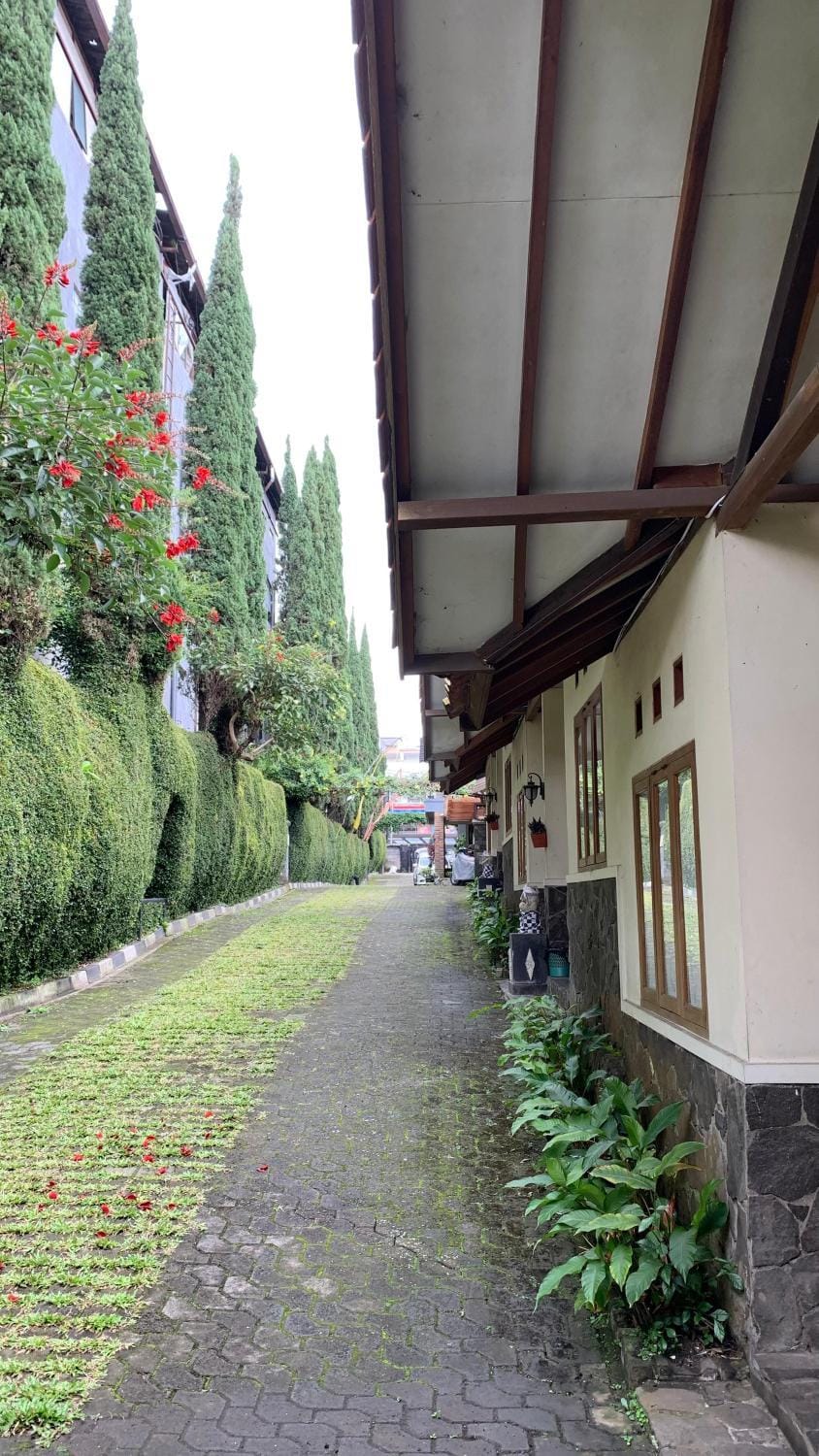 Property building, Day, Neighbourhood, Garden, Garden view, Street view, Parking