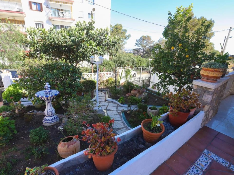 Spring, Day, Garden, Garden view