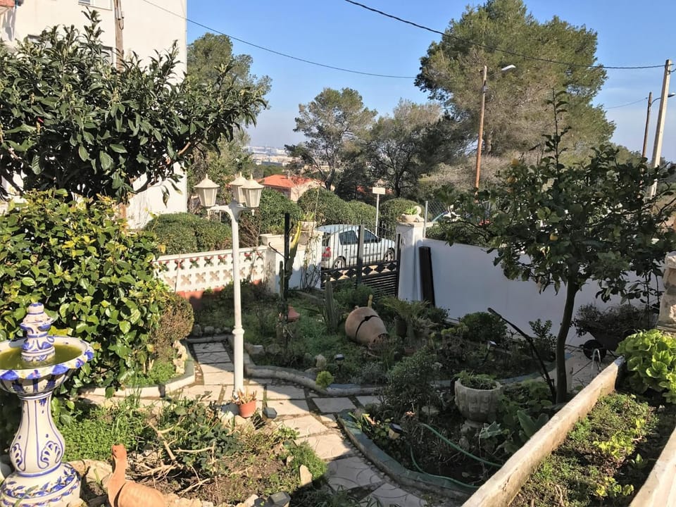 Garden view