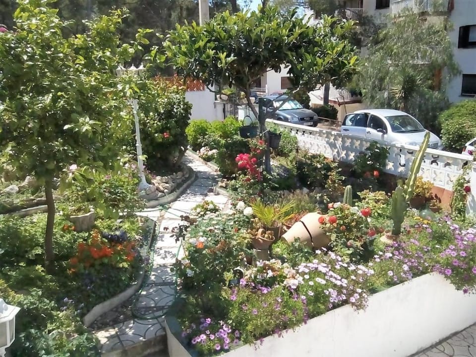 Garden, Garden view