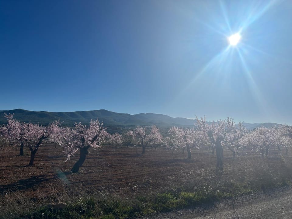 Spring