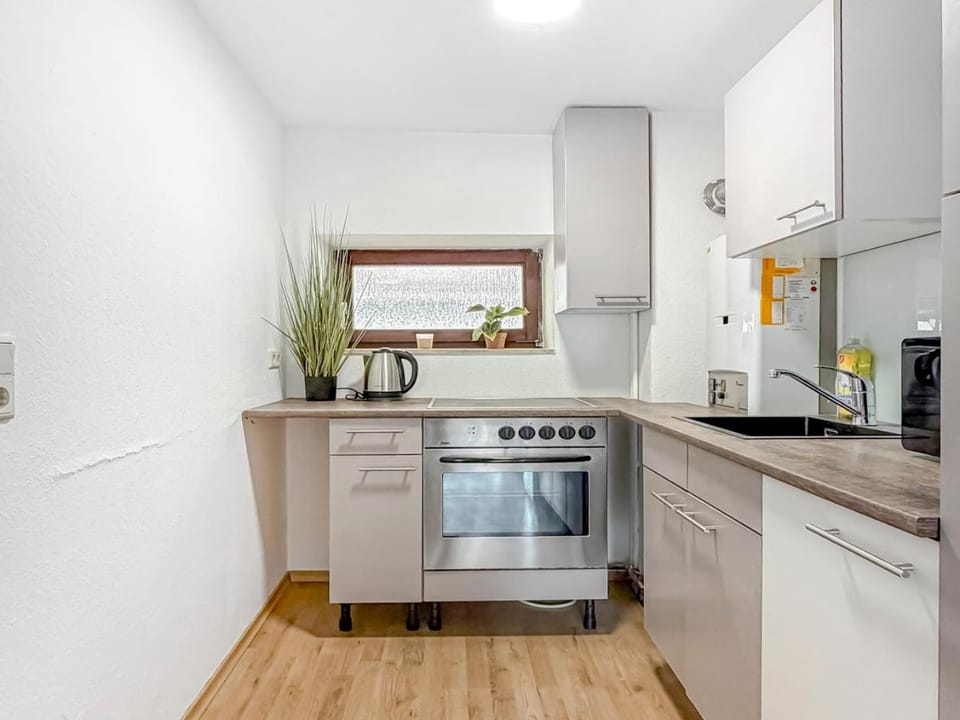 Kitchen or kitchenette, oven, stove
