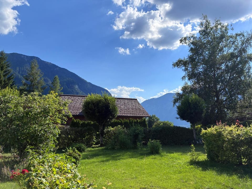 Property building, Garden, Garden view