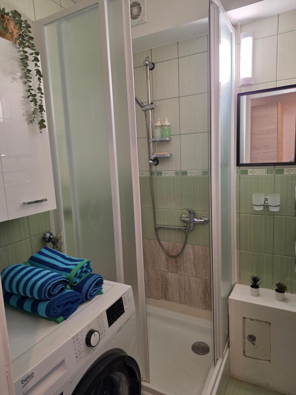 Shower, Bathroom
