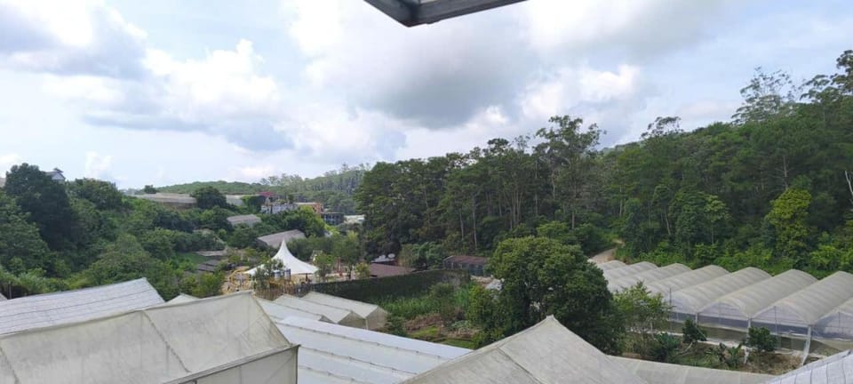 SON TAM Nhà Vườn Homestay House in Dalat