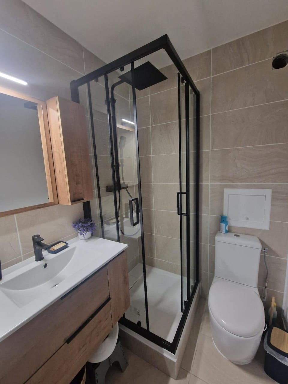 Shower, Toilet, Bathroom