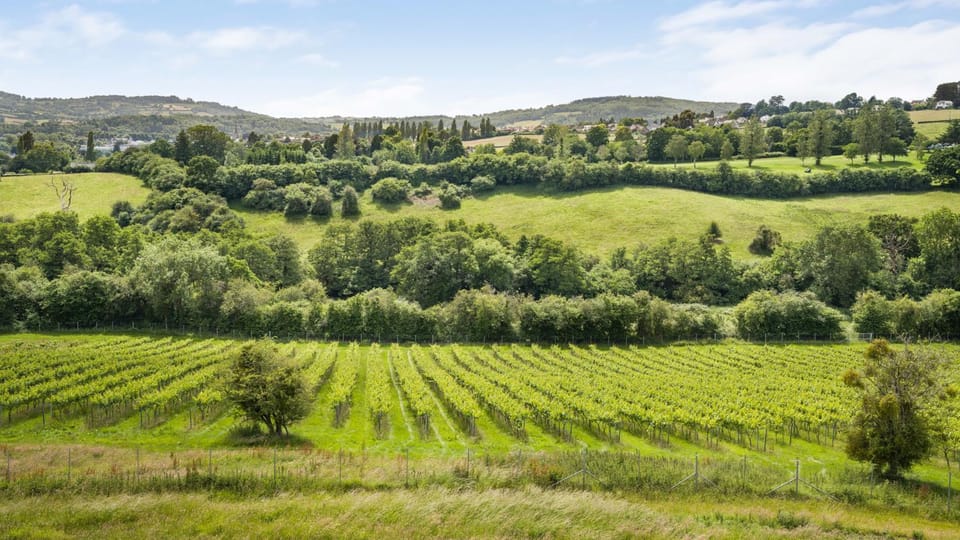 Natural landscape