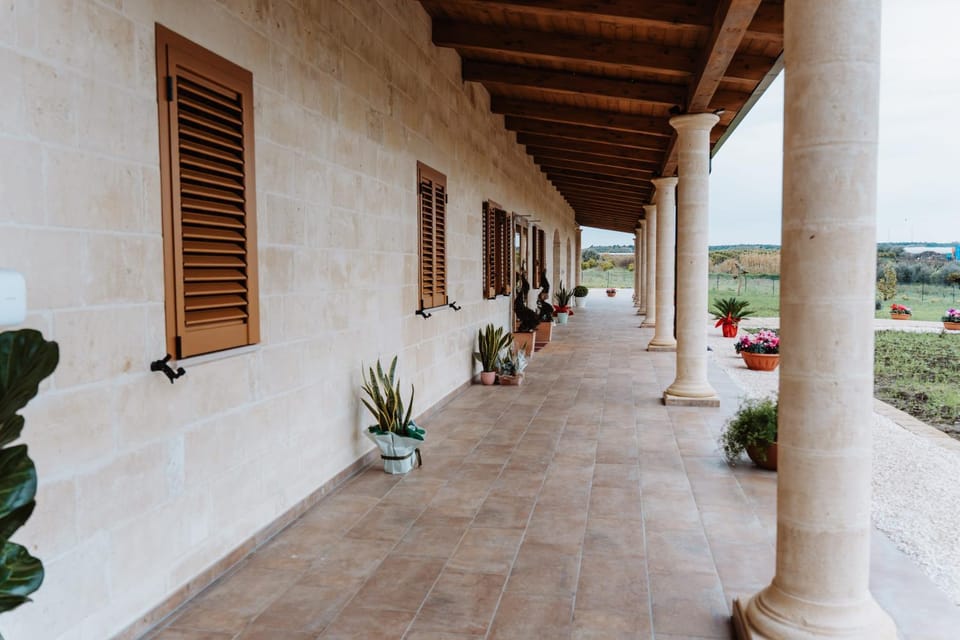 Patio, Balcony/Terrace