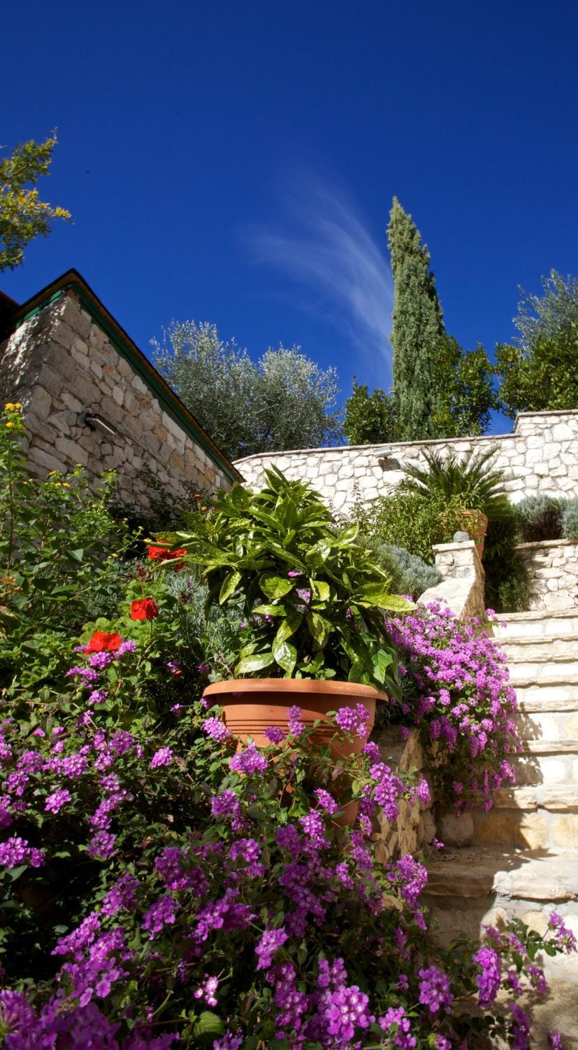Spring, Day, On site, Garden view