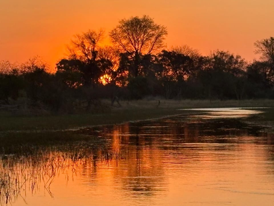 Elephant Island River House Apartment in Africa