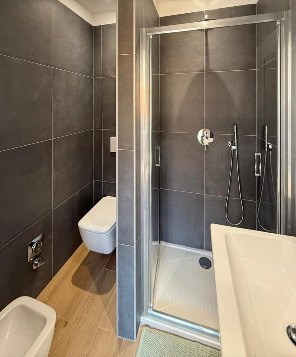Shower, Toilet, bidet, hair dryier, towels