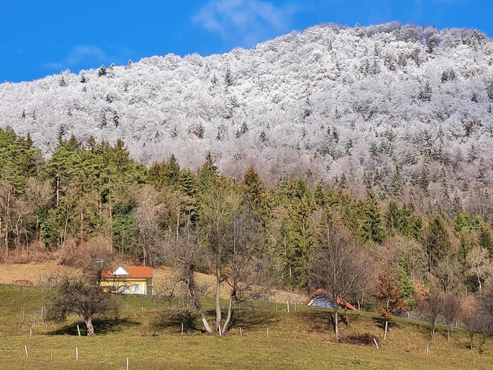 Natural landscape
