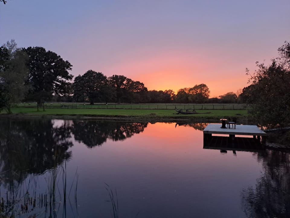 Lake view