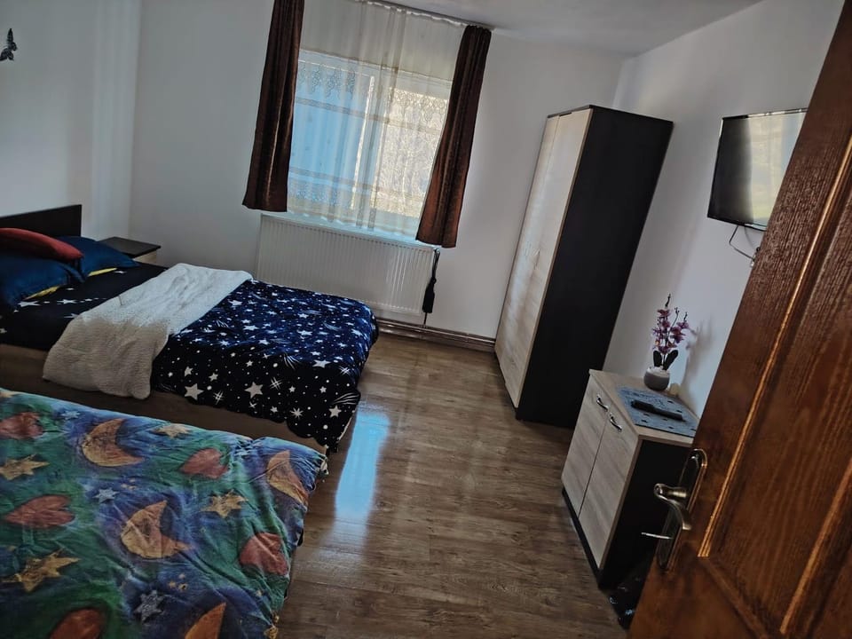 Pensiunea Alex&Andry Bed and Breakfast in Dolj County, Romania