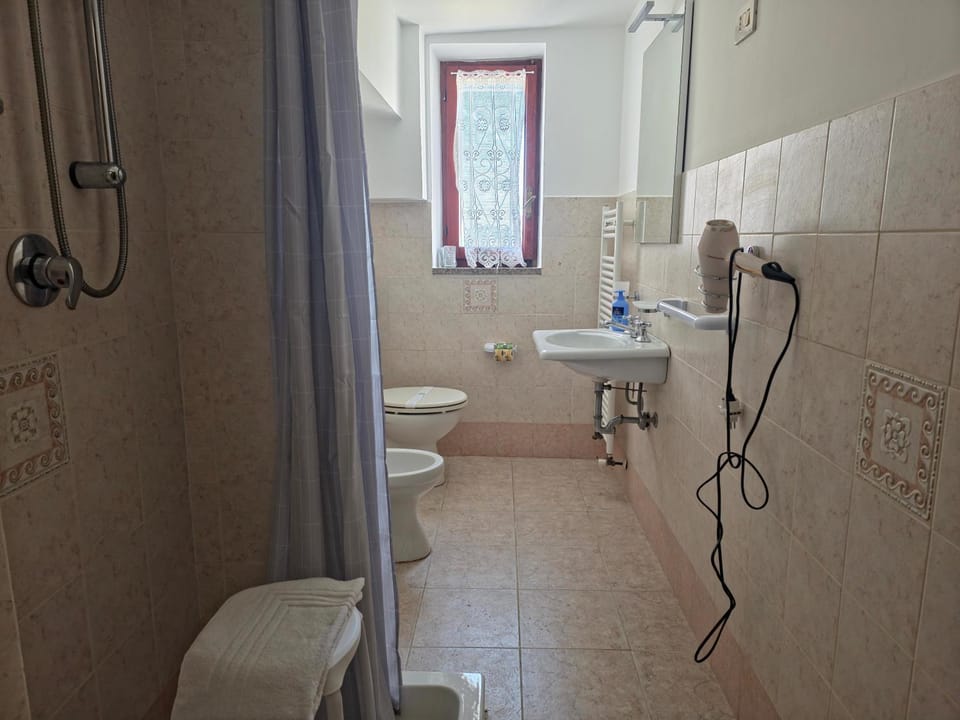 Shower, Toilet, Bathroom, bidet, towels