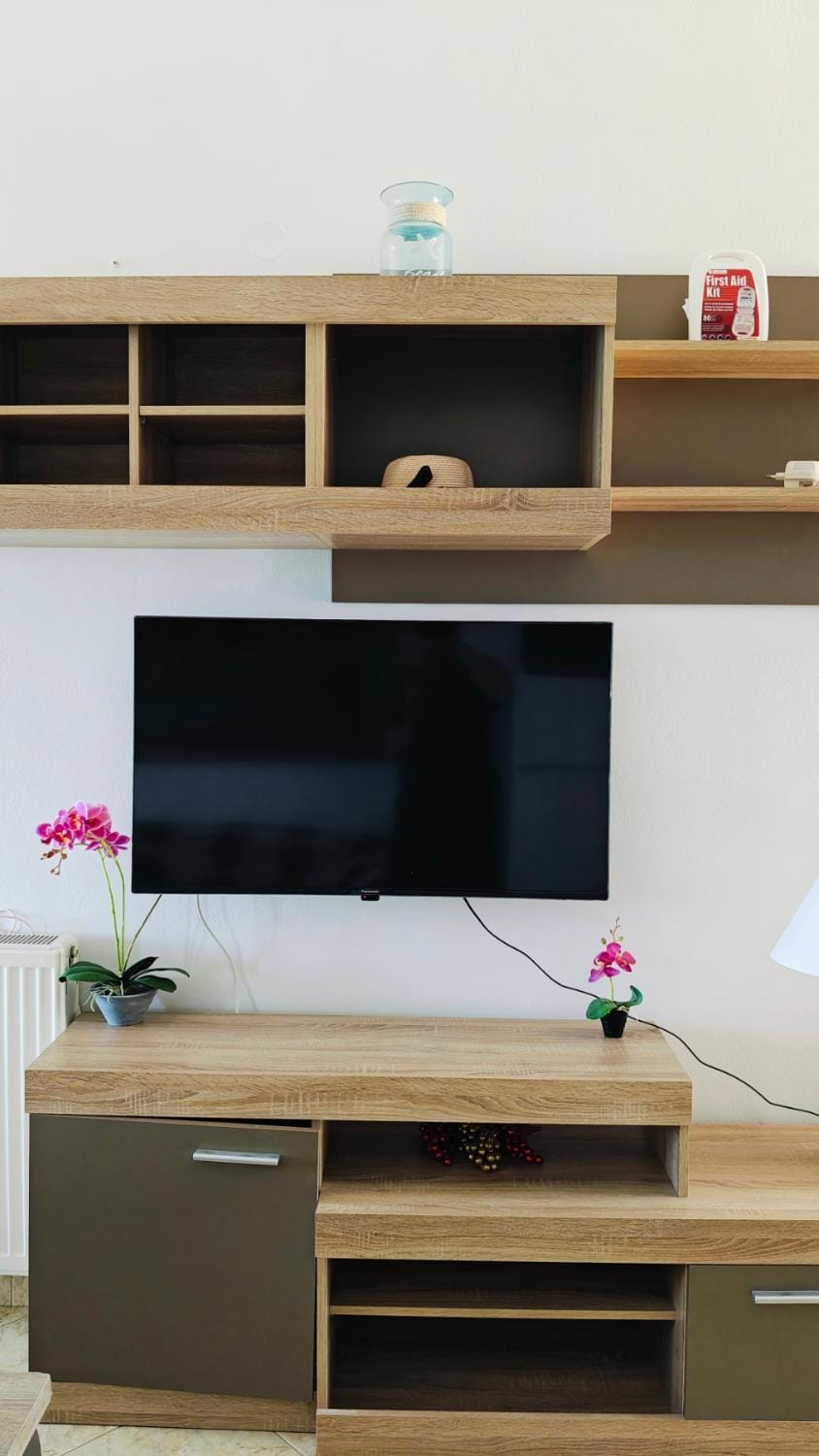 TV and multimedia