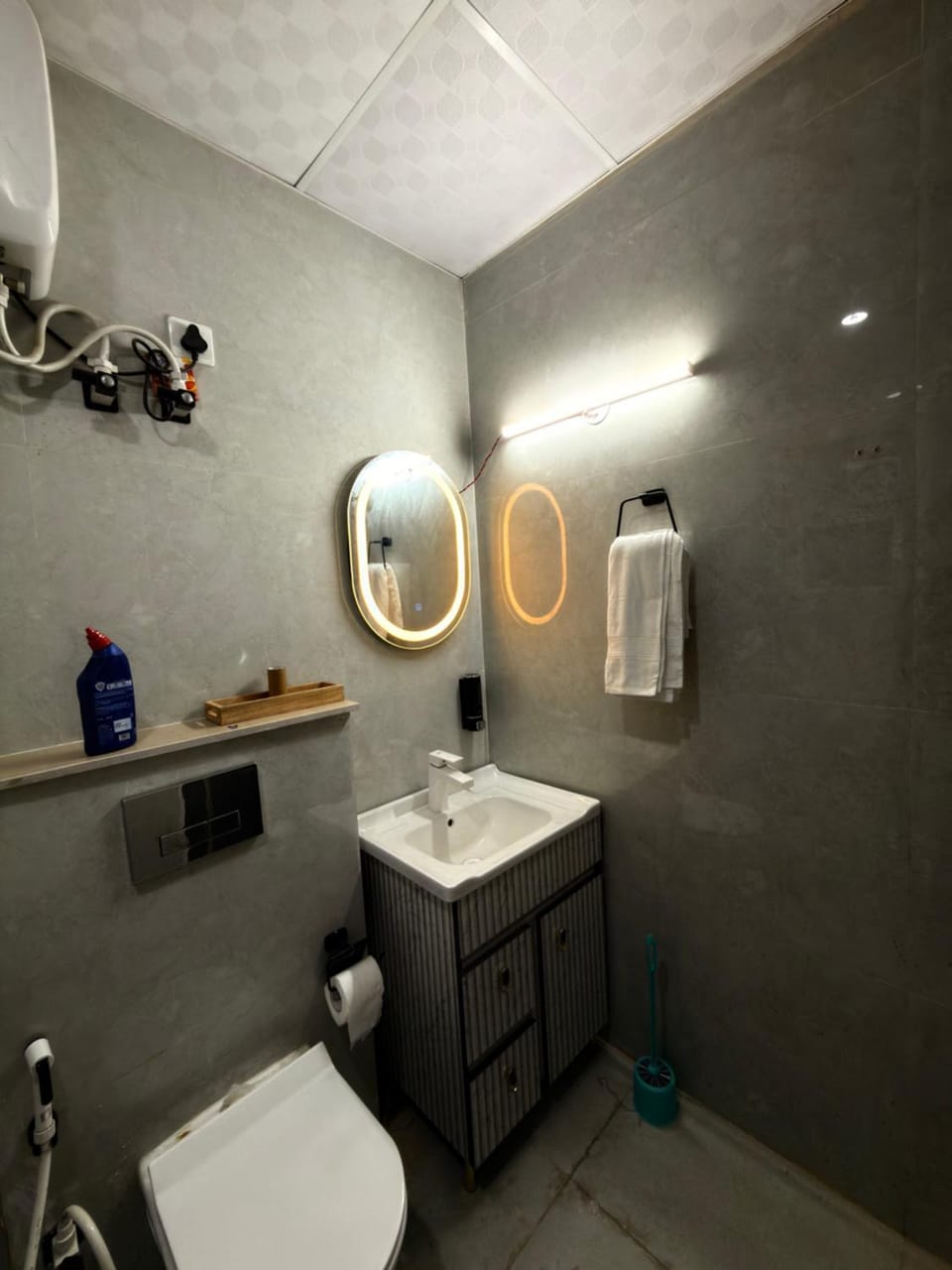 Skyline Bloom Apartment in Noida