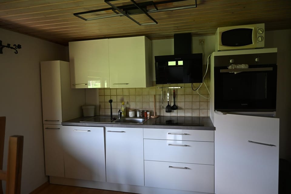 Kitchen or kitchenette, dishwasher, stove