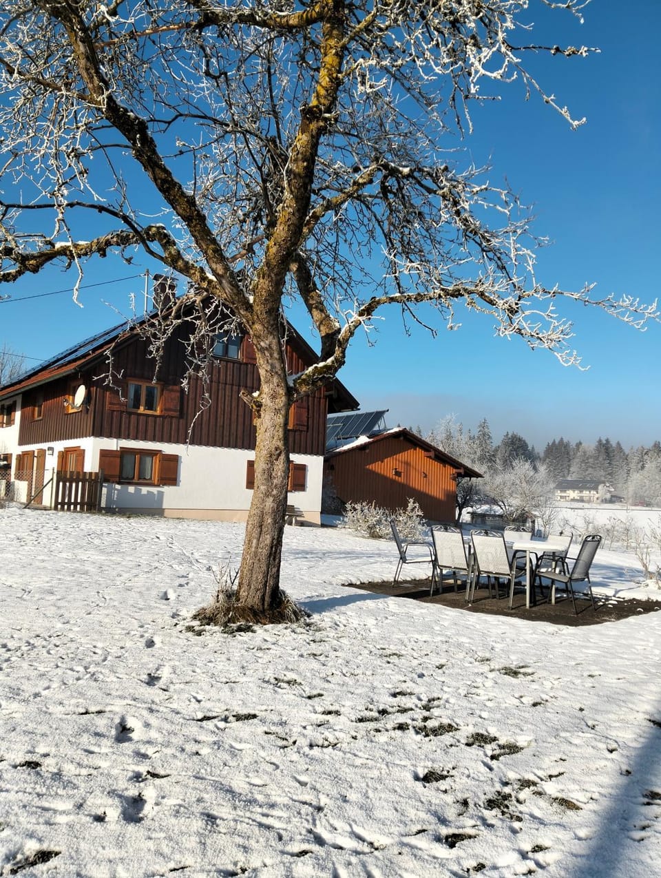 Property building, Garden, Garden