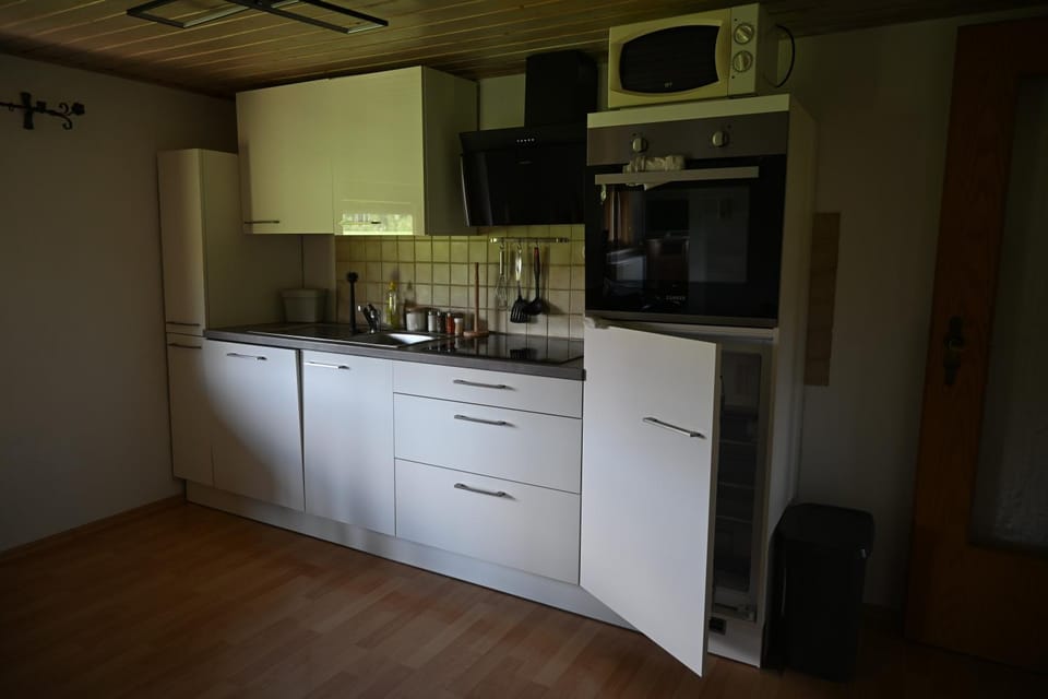 Kitchen or kitchenette, dishwasher, oven, stove