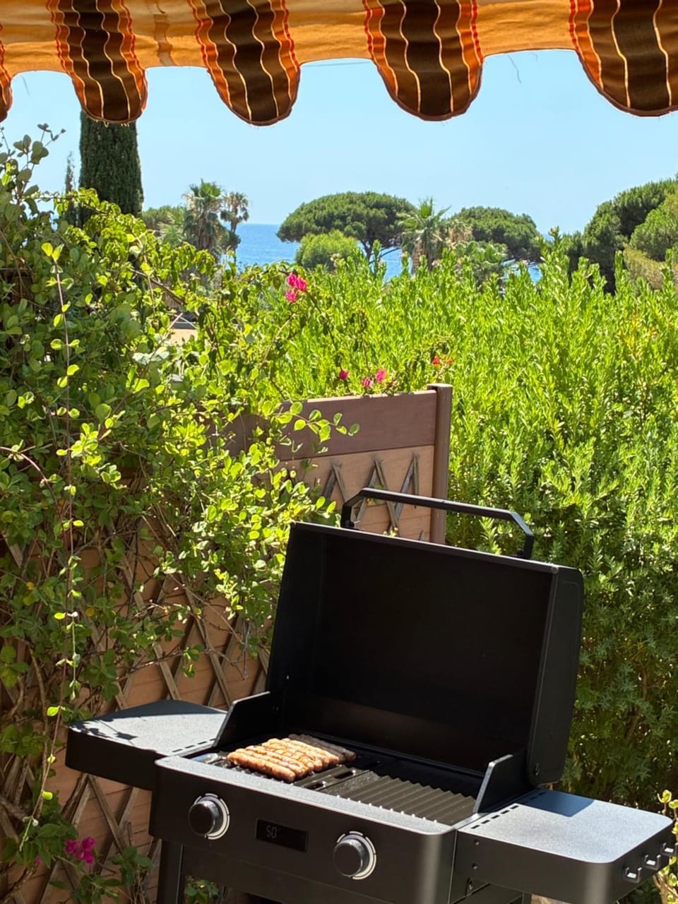 Garden view, Sea view