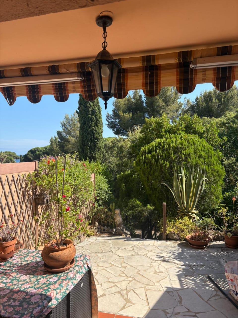 Patio, Garden, Balcony/Terrace