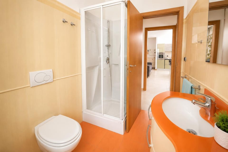 Shower, Bathroom, bidet