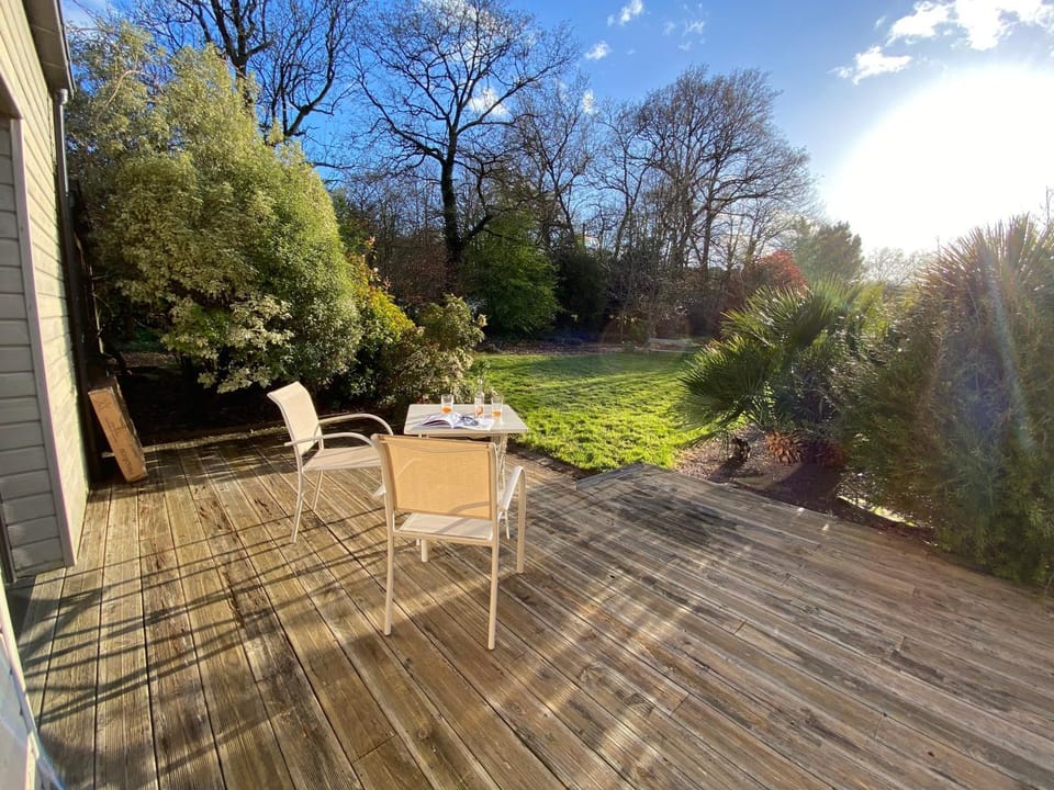 Patio, furniture