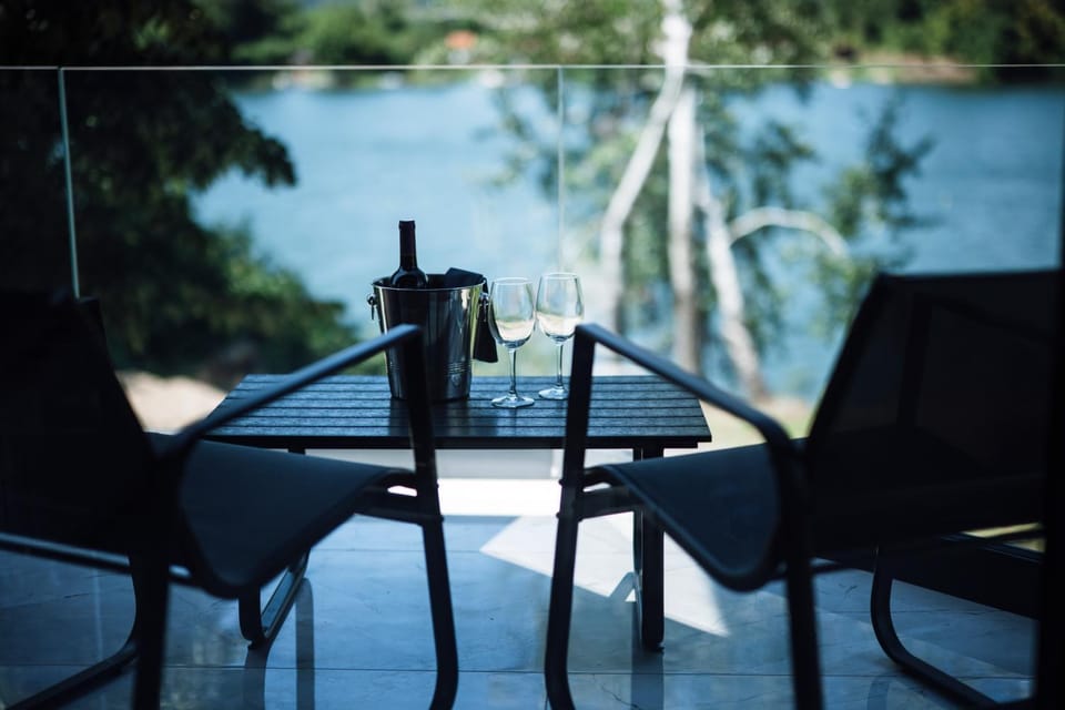 Vila Dominus Lux Apartment in Serbia