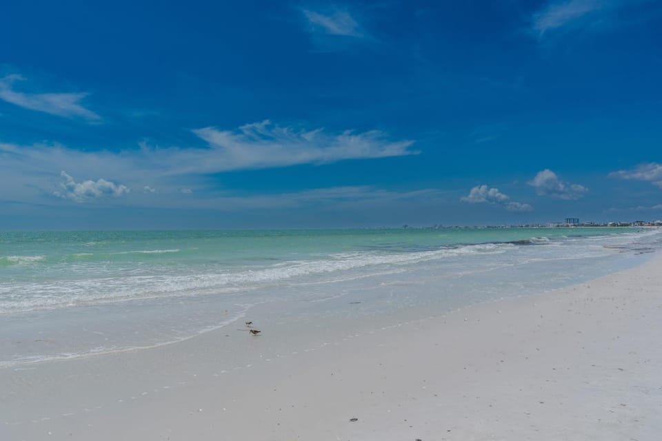 Widgeon Point by Sun Palace Vacations House in Estero Island