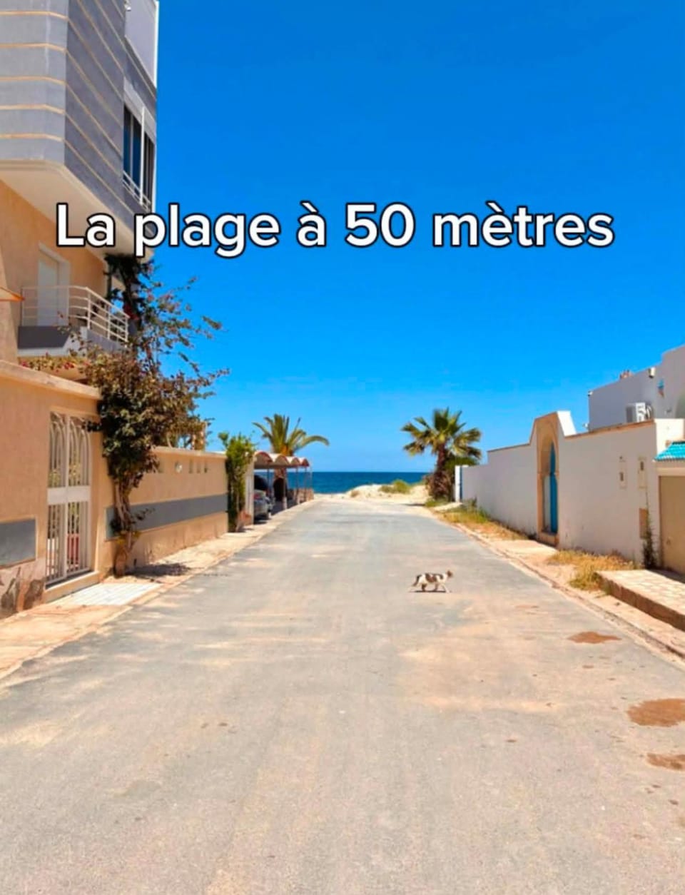 Dar Tantana sayafi Apartment in Sousse