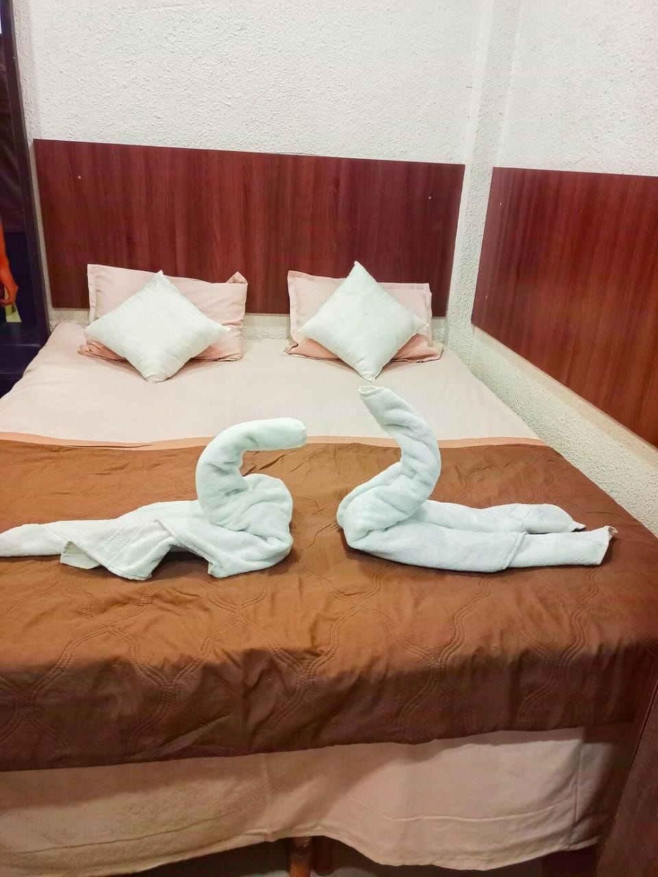 Fully Independent Private Room with no restriction Bed and Breakfast in India