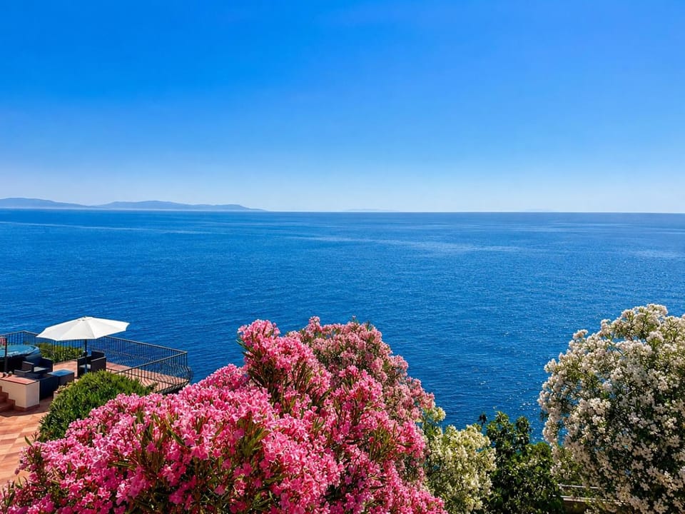 Casa Collemare a Rio Marina - Elba Affitti Apartment in Tuscany