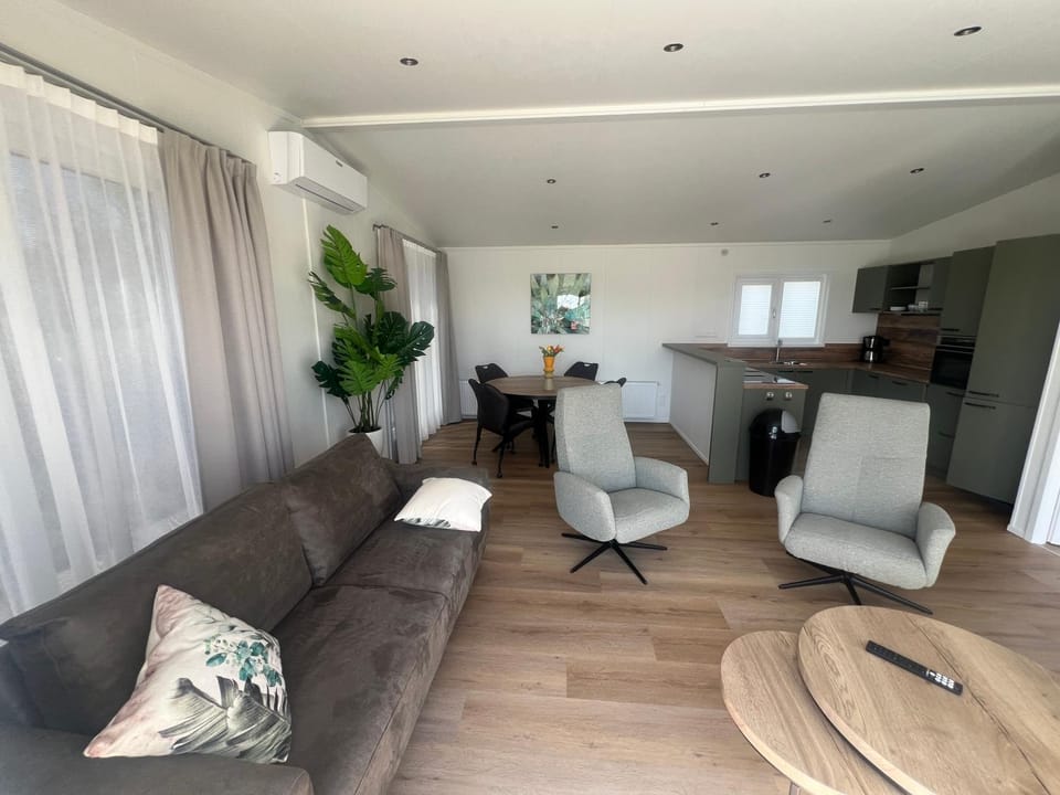 Living room, kitchen