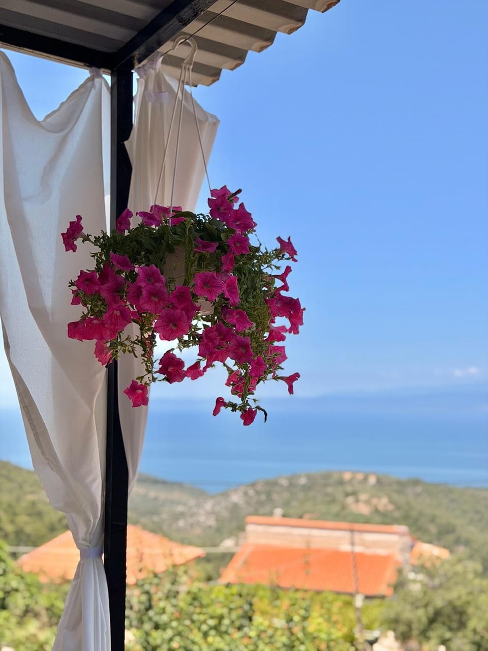 Balcony/Terrace, Sea view