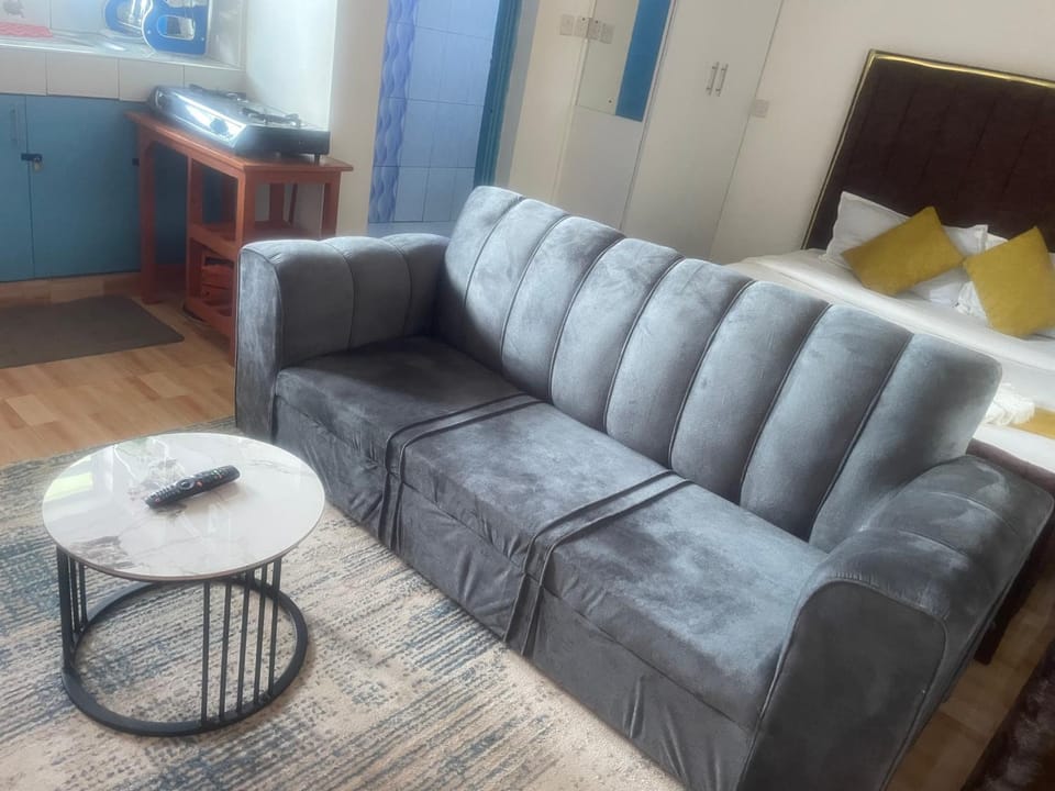 Basics Nest Apartment in Nairobi