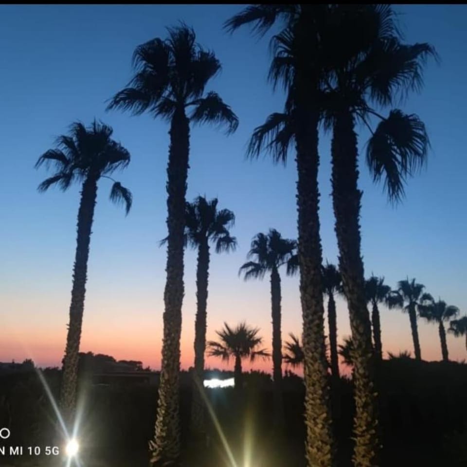 Villa Martin Villa in Marsala