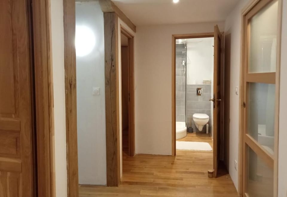 Grande maison conviviale dans le centre historique House in Auvergne-Rhône-Alpes