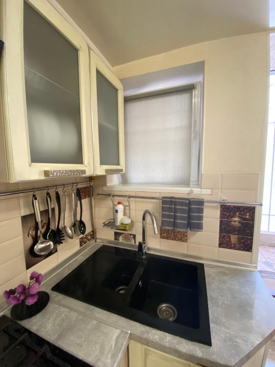 TV and multimedia, Kitchen or kitchenette, minibar, pet friendly, stove