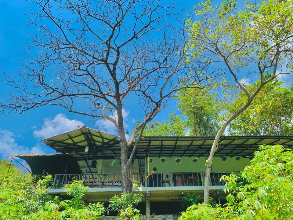 Cottage Wild Boar Villa in Sri Lanka